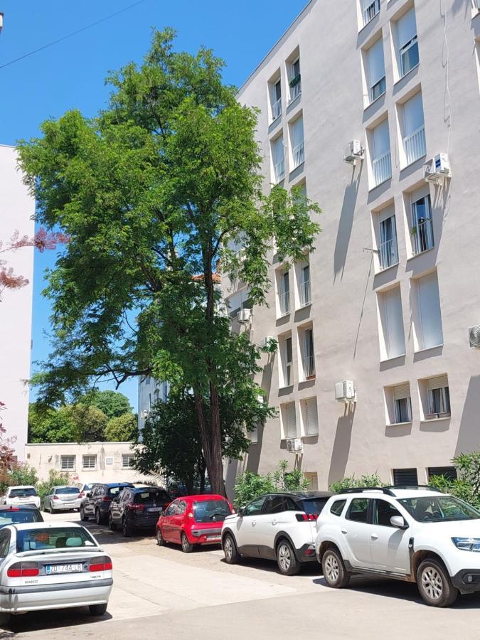 Marinero Apartment Ζαντάρ Εξωτερικό φωτογραφία